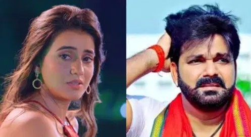 Pawan Singh alimony case