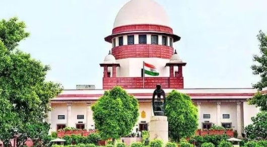 supreme-court-freebies