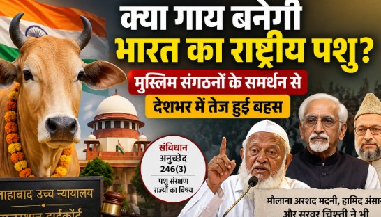 Cow Protection Law India