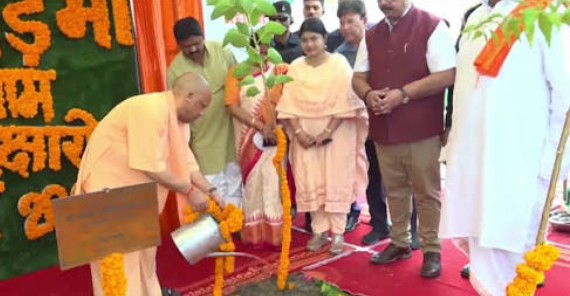 UP Plantation Drive